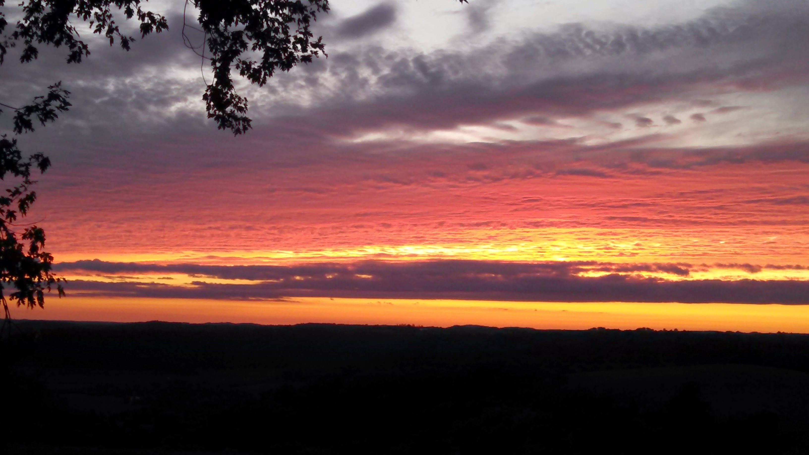 Driftless For Democracy